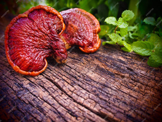 Ganoderma lucidum - čarobna gljiva koja liječi i najteže bolesti!